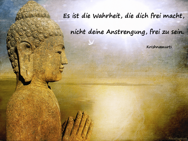 Zitate Des Buddha